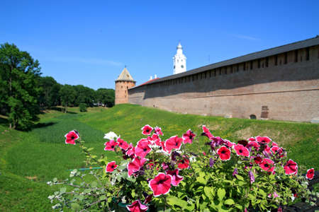 flowerses on background of the old fortressの写真素材