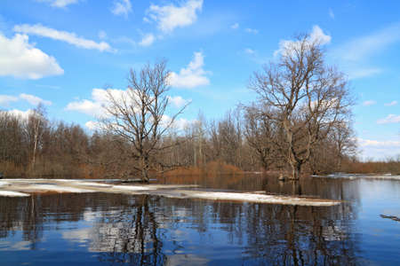 spring ice on small riverの写真素材