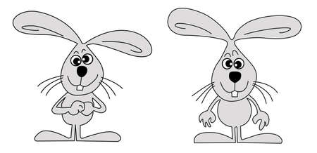vector drawing hare on white backgroundのイラスト素材