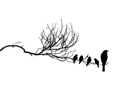 vector silhouette of the birds on branchのイラスト素材