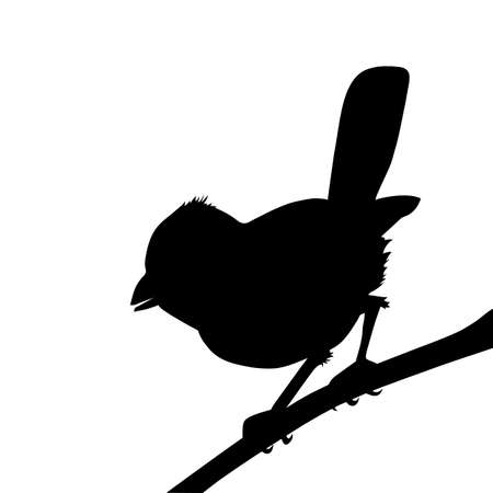 vector bird silhouette on white background, vector illustrationのイラスト素材