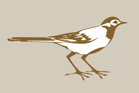 wagtail silhouette on brown background, vector illustration