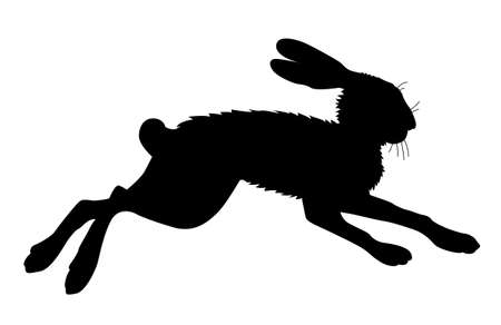 hare silhouette on white background, vector illustrationのイラスト素材