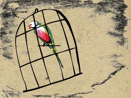 parrot in hutch on grunge background