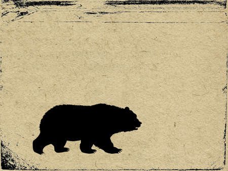 bear on grunge backgroundの写真素材