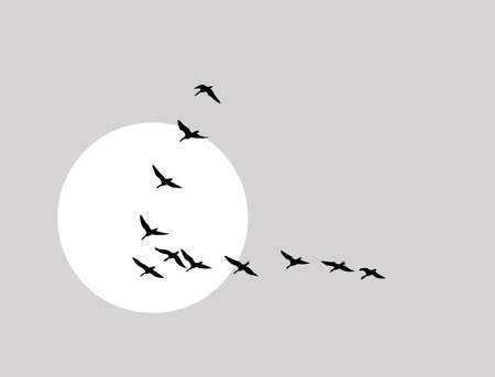 flying ducks silhouette on solar backgroundのイラスト素材