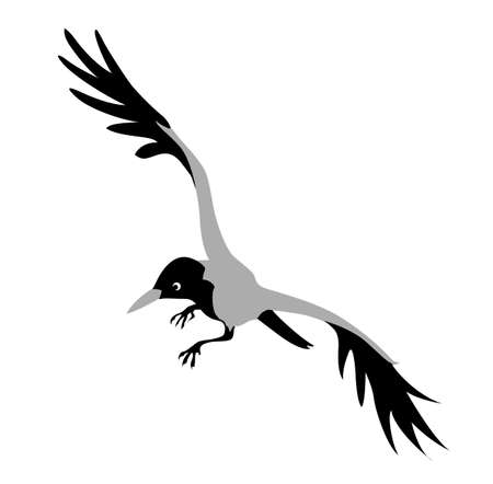 crow drawing on white backgroundのイラスト素材