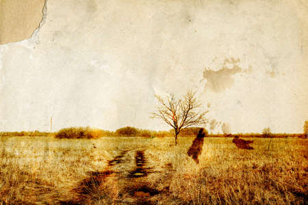 autumn field on old paperの写真素材