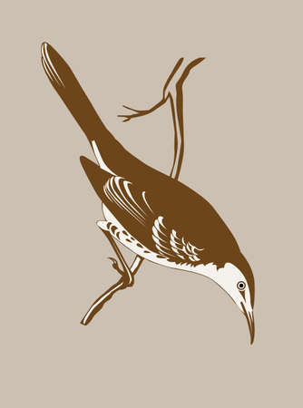 thrush silhouette on brown  background, vector illustrationのイラスト素材