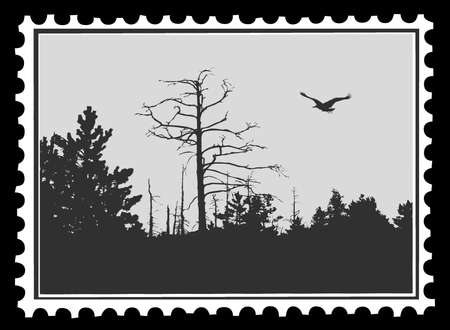 silhouette of the bird on postage stamps, vector illustrationのイラスト素材