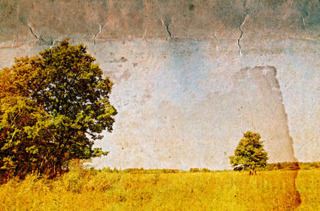 two oaks on grunge background の写真素材