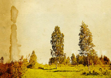 timber landscape on grunge backgroundの写真素材