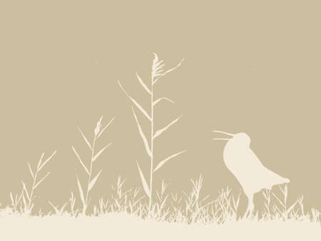 grunge background, vector illustrationのイラスト素材