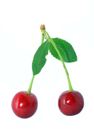 ripe cherry on white background