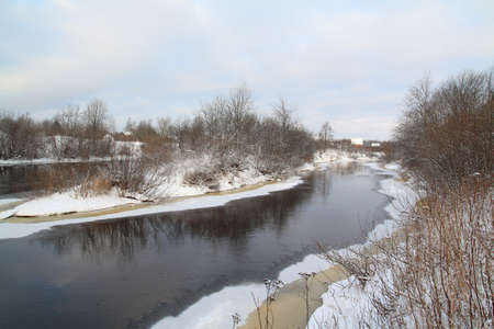 small bushes on river coastの写真素材