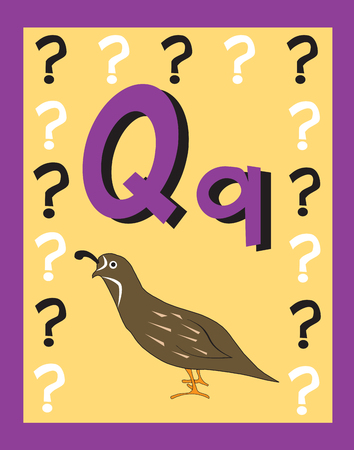 Flash cards are great learning devices! Vector Illustrationのイラスト素材