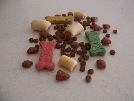 Assortment of dry dog food and treats.の写真素材