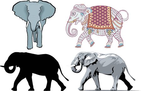 Illustration of 4 different styles of Elephants.の写真素材