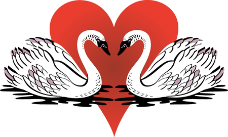 Vector Illustration of love swans swimming with red heart.のイラスト素材