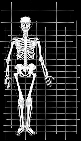 Vector Illustration of a Skeleton Business Card.のイラスト素材