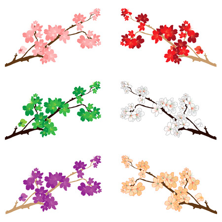 Vector Illustration of various blossoms and flowers.のイラスト素材