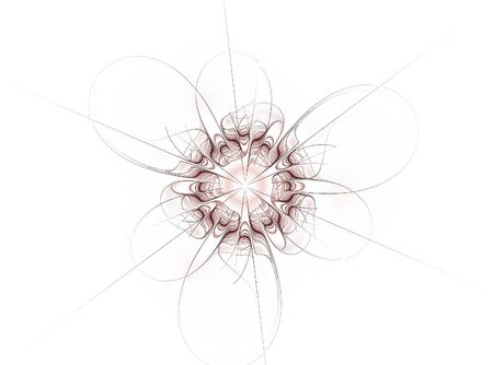 abstract fractal flower computer generated image. White backgroundの写真素材