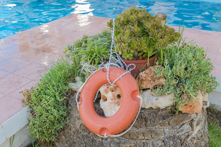 Succulents, stones and lifebuoys on the side of the pool.