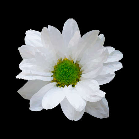Vector illustration of chamomile flower in low poly style. Isolate polygon on black backgroundのイラスト素材