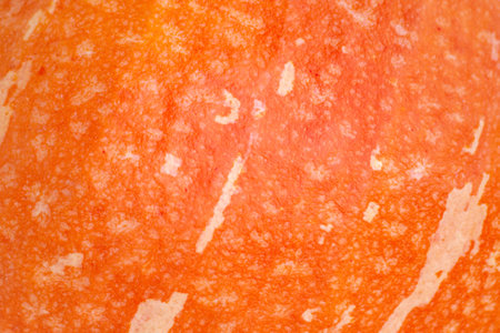 Orange striped pumpkin close-up. Abstract autumn background for halloweenの写真素材