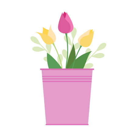 Pink and yellow tulips in a pink bucket. Vector isolate illustration on white backgroundのイラスト素材