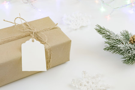 Close up of vintage craft gift with rope and blank label isolated on white background. Spruce branch, garland, christmas giftの写真素材