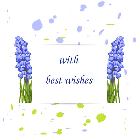 Flower blossom Muscari.Romantic botanical invitation.Greeting card with floral background. Branch green leaves grass, background ink spots.Watercolor art illustration, vector floral greenery designのイラスト素材
