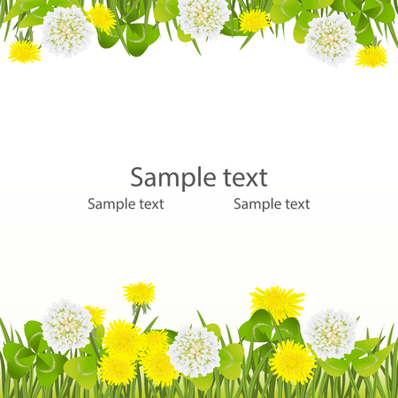 Spring background, Easter, Mother's day birthday, wedding frame with clover, white flowers and yellow dandelions. The border is green grass and shamrock. White background vector illustration.のイラスト素材