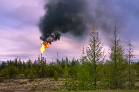 Passing gas torch in West Siberia. Pollution of environment.の写真素材