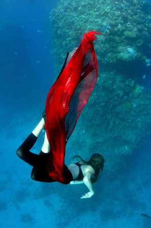 young girl in red pareo dives into depths on background of coral reefの写真素材