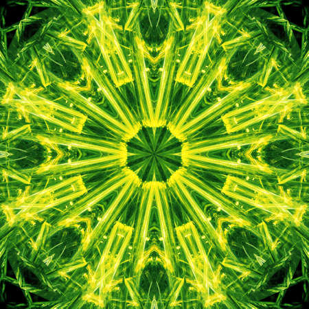 Art abstract design. Vivid, color, mirror pattern.