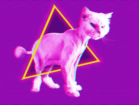 Pink cat. Retro wave synth vaporwave portrait of a funny cat. Concept of memphis style posters.の写真素材