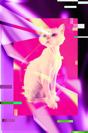 Pink cat. Retro wave synth vaporwave portrait of a funny cat. Concept of memphis style posters.の写真素材
