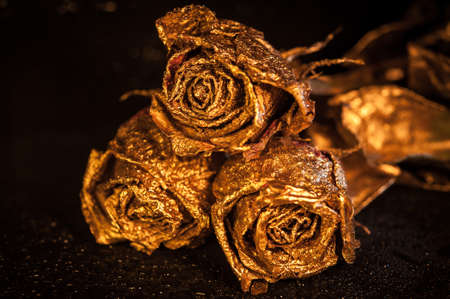 Abstract macro fine-art background with golden roses and water drops. Symbol of love, wealth, rich.の写真素材