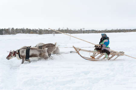 Russkinskie, Surgut, KhMAO-Ugra, Siberia, Russia, 2019.03.23. National holiday of reindeer herders,...