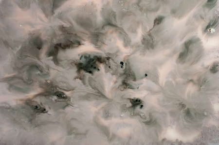 Abstract monochrome grunge texture. Gray decorative distress background. Natural luxury. Copy space.