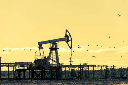 Oil pumpjack, industrial equipment. Rocking machines for power generation. Extraction of oil.の写真素材