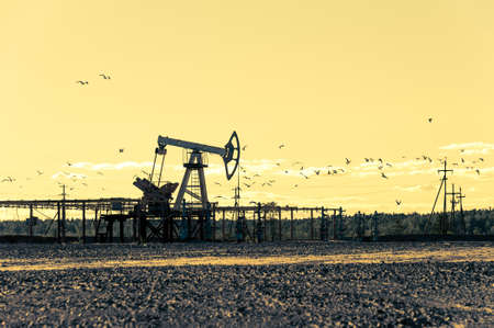 Oil pumpjack, industrial equipment. Rocking machines for power generation. Extraction of oil.