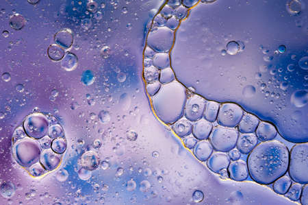 Colourful oil ink bubbles and drops. Abstract template mixed texture background. Wallpaper pattern.