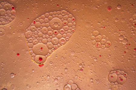 Colourful oil ink bubbles and drops. Abstract template mixed texture background. Wallpaper pattern.の写真素材