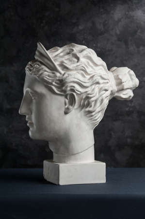 Gypsum copy of ancient statue Diana head on a dark textured background. Plaster sculpture woman...