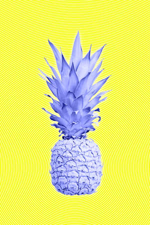 Contemporary art collage with pineapple. Exotic tropical fruit. Pop art. Perfect for invitations, greeting cards, posters.の写真素材