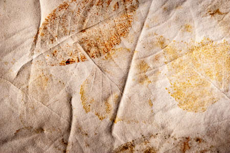 Real texture of the prints of plant leaves on crumpled paper. Not an art. Simple background.の写真素材