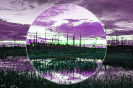 Modern aesthetic art collage with evening swamp landscape. Natural marsh view in bright neon colors. Contemporary art poster in minimal and surreal style composition. Template, background for design.の写真素材