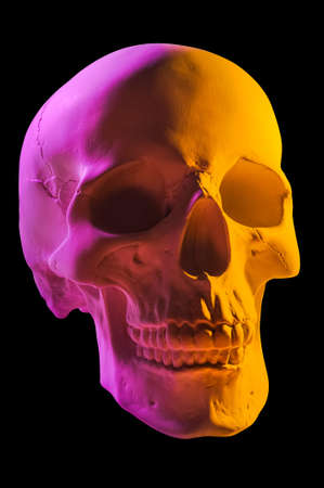 Pink yellow gypsum human skull isolated on black background. Plaster sample model skull for students of art schools. Forensic science, anatomy and art education concept. Mockup for drawing design.の写真素材